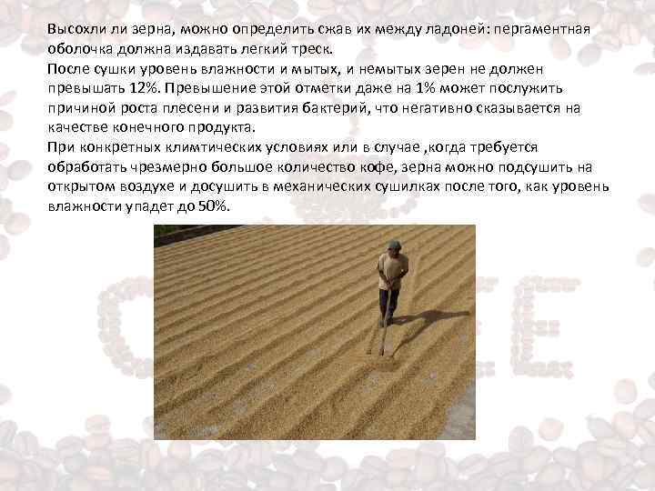 Ходить по зерну разрешается ответ. Запрещается или разрешается. Разрешается ли перевозить пассажиров на велосипеде. Разрешается ходить. Ходить по зерну разрешается ответ.