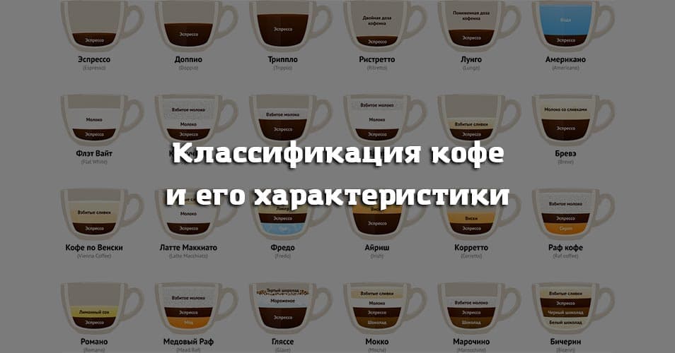 Какой кофе русский. Классификация растворимого кофе. Классификация кофе таблица. Классификация и характеристика ассортимента кофе. Классификация кофе по качеству зерен.